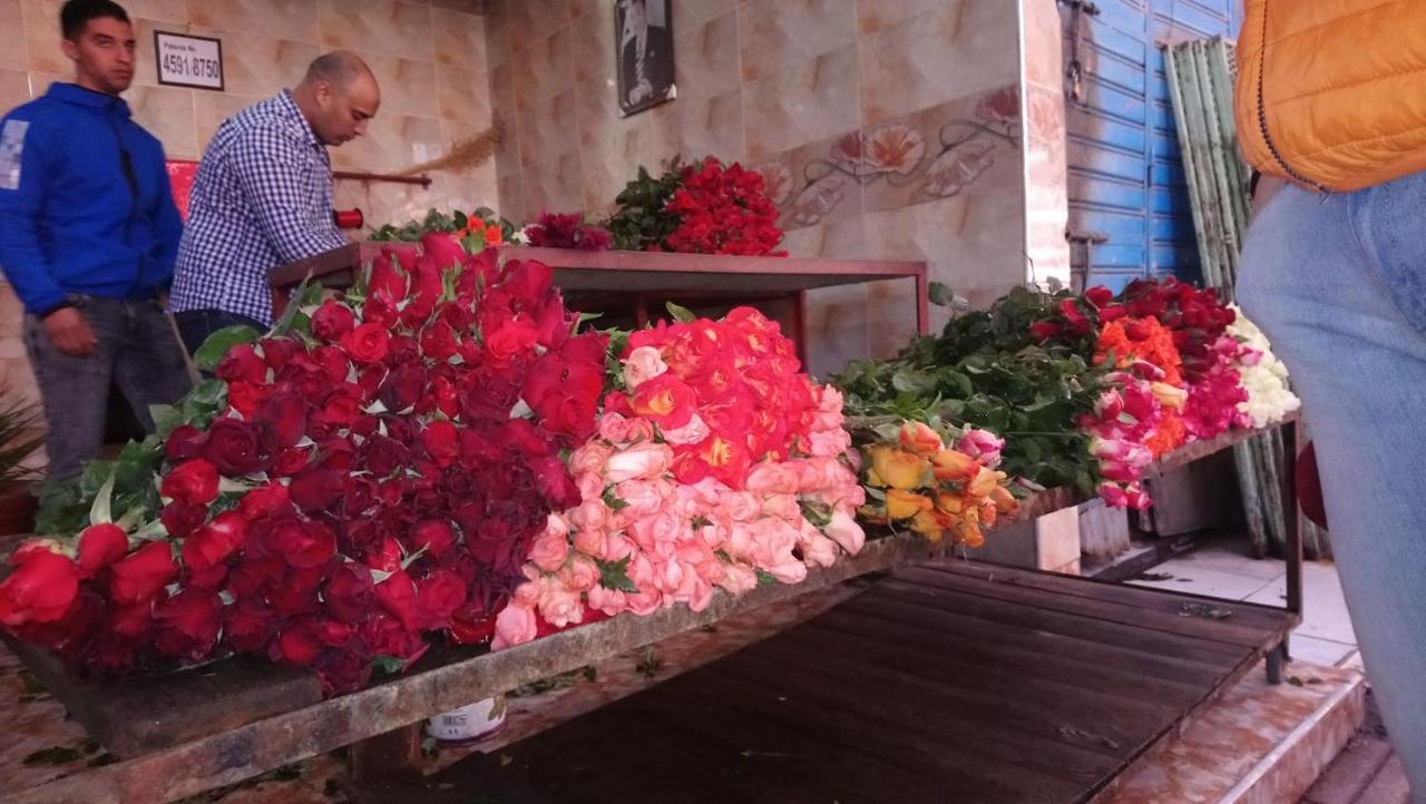 Riad Al Warda มาร์ราเกช ภายนอก รูปภาพ